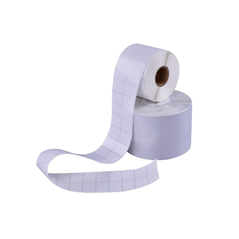 Ekologiškas spausdinimas, protinga ateitis – kaip terminio perdavimo etiketės padeda įmonėms sumažinti išlaidas ir padidinti efektyvumą?